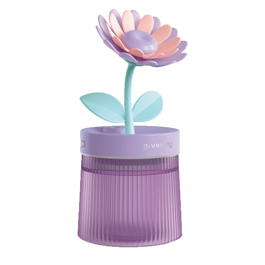 Home Humidifier