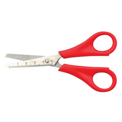 Raion scissors RS-120